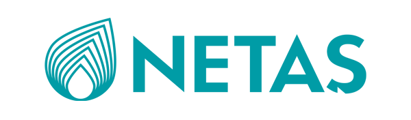 Netaş